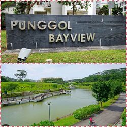 Blk 323A Punggol Bayview (Punggol), HDB 3 Rooms #419487621